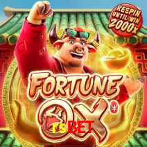VIP Casino rsbet